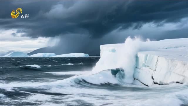 來自南極深海——雙剪抗鹽生根菌！