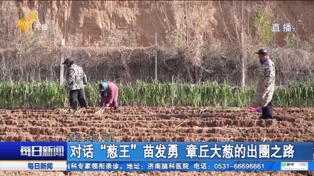 对话“葱王”苗发勇 章丘大葱的出圈之路