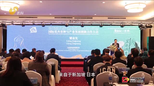 國際花卉育種與產業發展創新合作大會在越南舉行