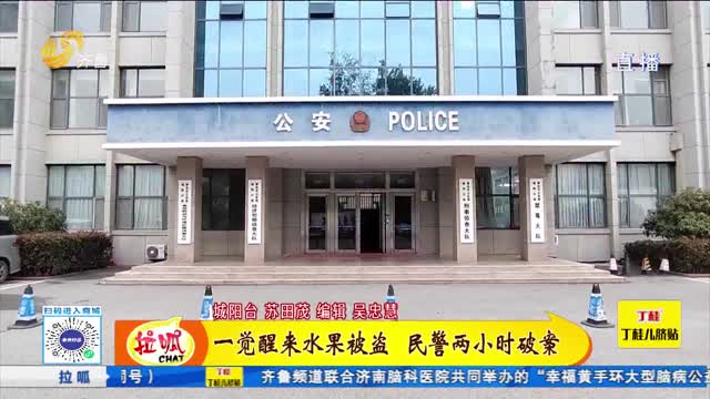 公安民警两小时速破一起水果盗窃案
