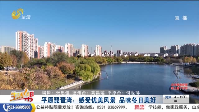 平原琵琶湾：感受优美风景 品味冬日美好
