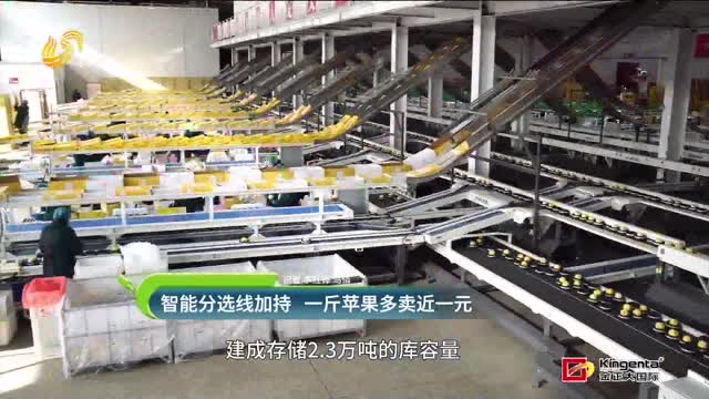 智能分選加持 每斤蘋果多賣近一元