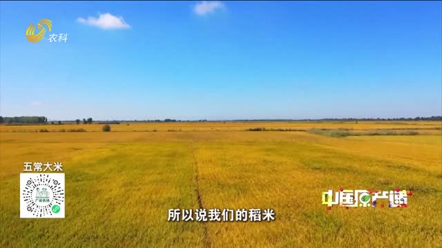 20251129《中国原产递》：五常大米