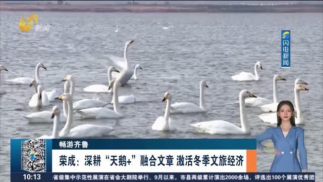 【畅游齐鲁】荣成：深耕“天鹅+”融合文章 激活冬季文旅经济