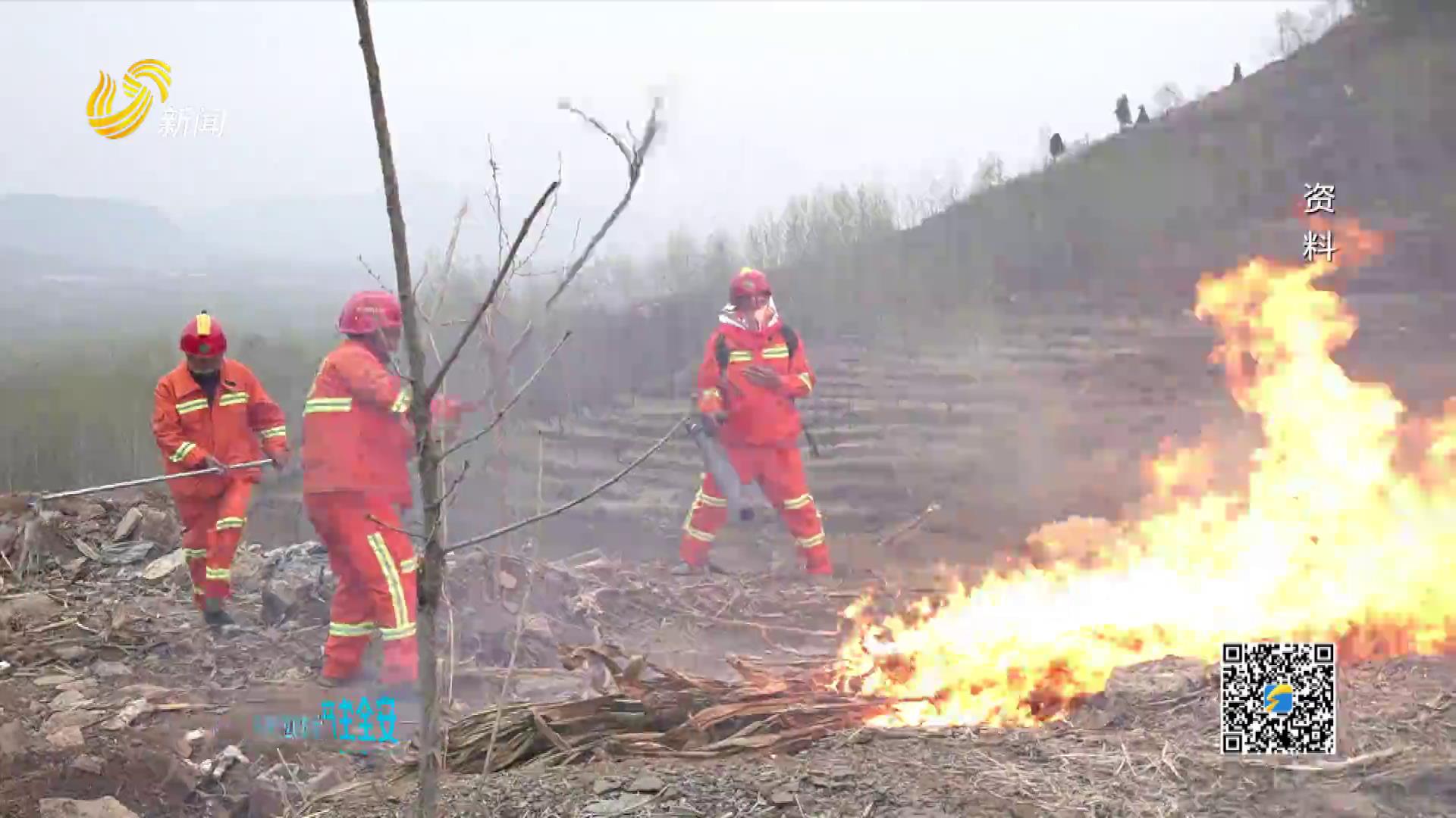 20251130：山东：源头管控查隐患 筑牢森林防灭火屏障