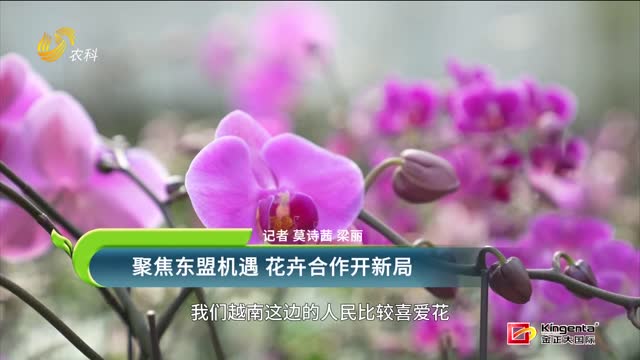 聚焦東盟機遇 花卉合作開新局