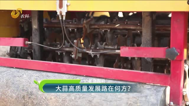 大蒜高質(zhì)量發(fā)展路在何方？