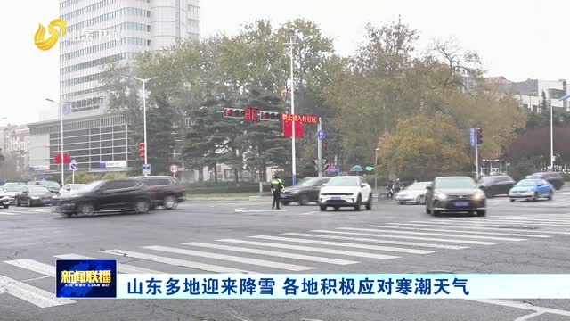 山东多地迎来降雪 各地积极应对寒潮天气