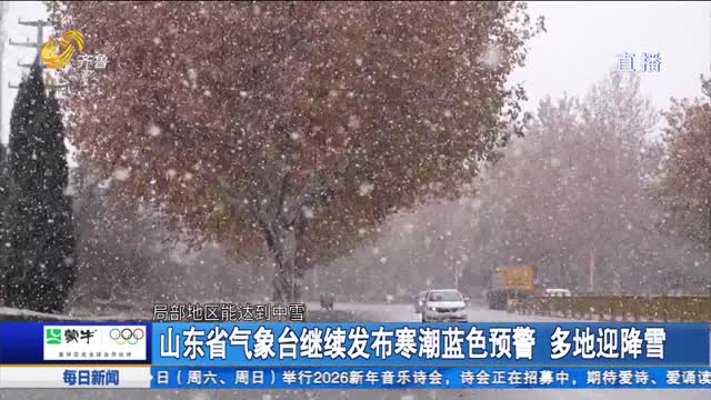山东省气象台继续发布寒潮蓝色预警 多地迎降雪