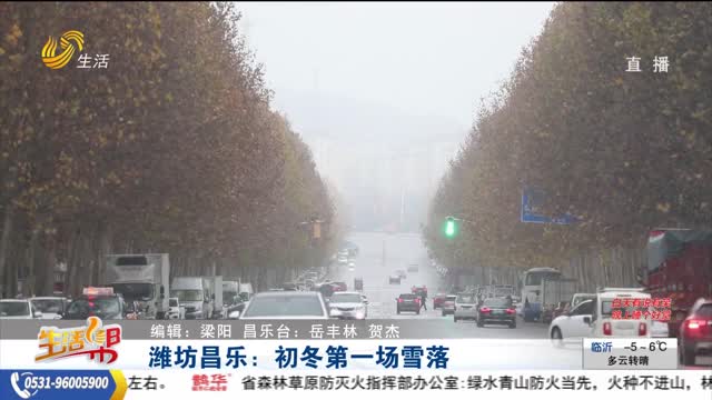 潍坊昌乐：初冬第一场雪落