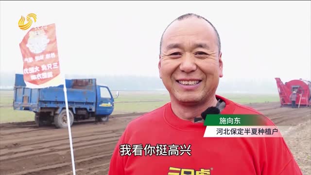河北保定：半夏用上“三只虎” 提質(zhì)增產(chǎn)不倒苗