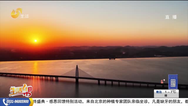 枣庄：灵芝湖畔湿地 冬日余晖绘诗意