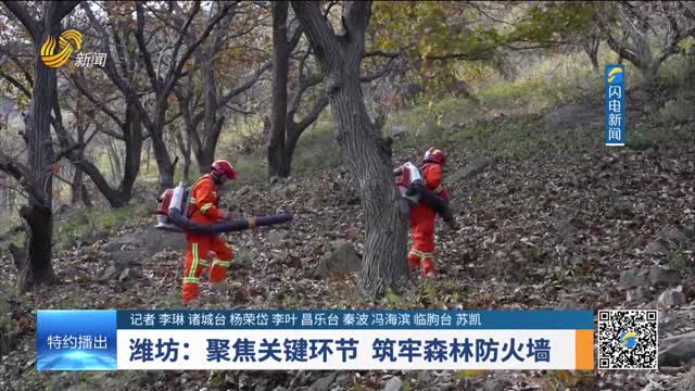潍坊：聚焦关键环节 筑牢森林防火墙