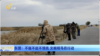 東營：不驅不趕不驚擾 文明觀鳥在行動 