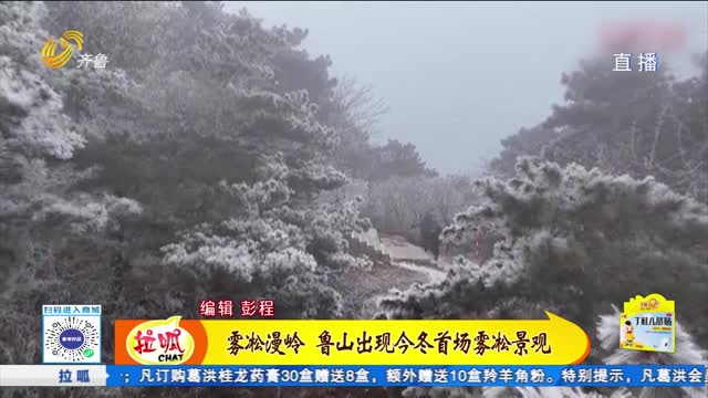 雾凇漫岭 鲁山出现今冬首场雾凇景观