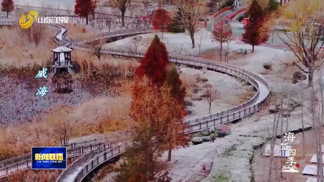 仲冬启幕 雪润万物【二十四节气·大雪】