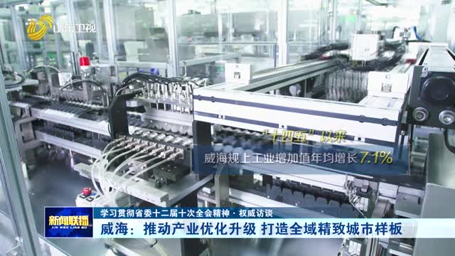 威海：推動產業優化升級 打造全域精致城市樣板【學習貫徹省委十二屆十次全會精神·權威訪談】