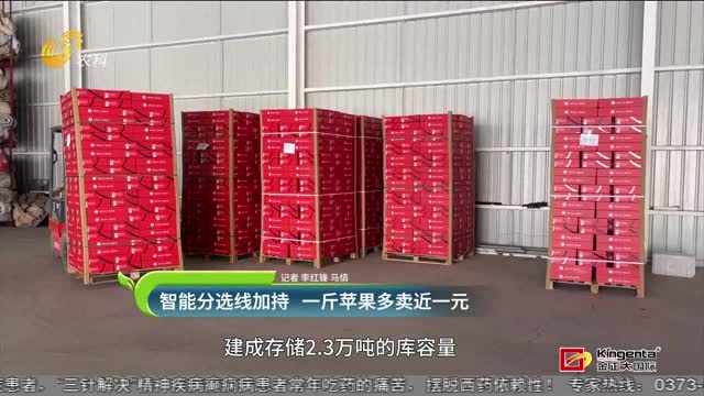 智能分選加持 一斤蘋果多賣近一元