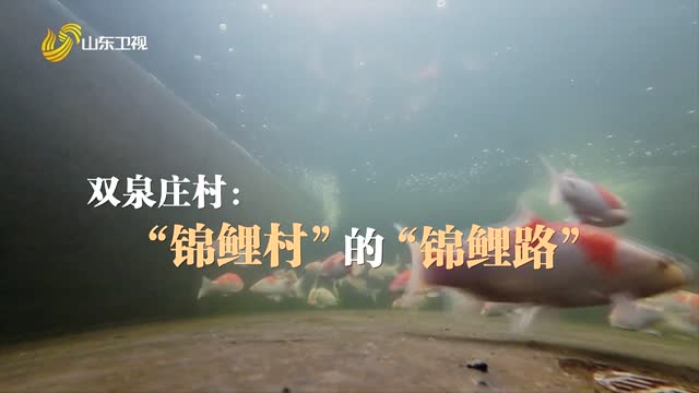 20251209《齐鲁先锋》：双泉庄村——“锦鲤村”的“锦鲤路”