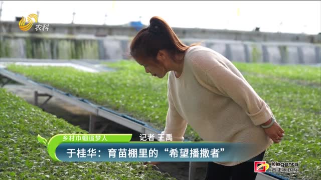【鄉(xiāng)村巾幗追夢(mèng)人】于桂華：育苗棚里的“希望播撒者”