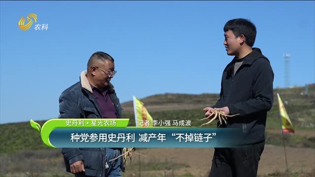 【史丹利·星光農場】種黨參用史丹利 減產年“不掉鏈子”