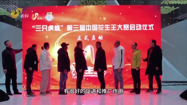 大戶云集 增收明顯 第三屆花生王大賽莊河賽區啟動