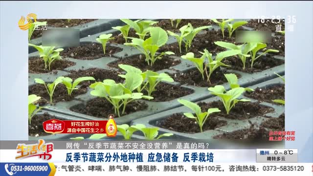 【网传“反季节蔬菜不安全没营养”是真的吗？】反季节蔬菜分外地种植 应急储备 反季栽培