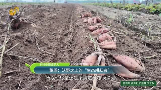 【鄉(xiāng)村巾幗追夢(mèng)人】董瑤：沃野之上的“生態(tài)耕耘者”