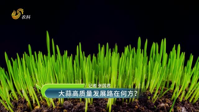 大蒜高質量發展路在何方？