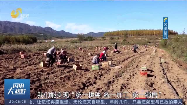 荣成：集群发展聚合力 助推特色产业提质增效
