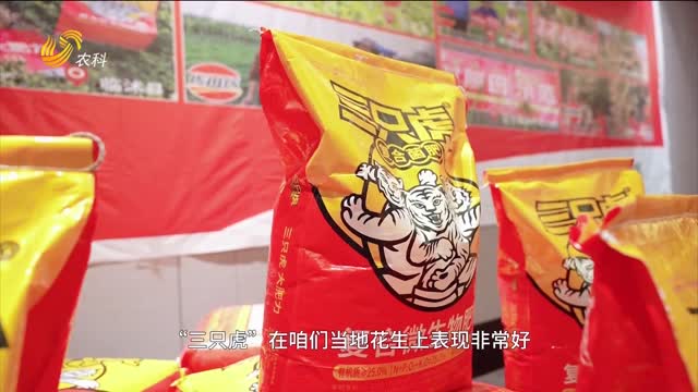 【第三屆“三只虎杯”中國花生王大賽】臺安賽區(qū)火爆啟動