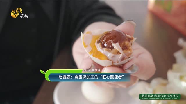【鄉(xiāng)村巾幗追夢(mèng)人】趙鑫源：禽蛋深加工的“匠心賦能者”