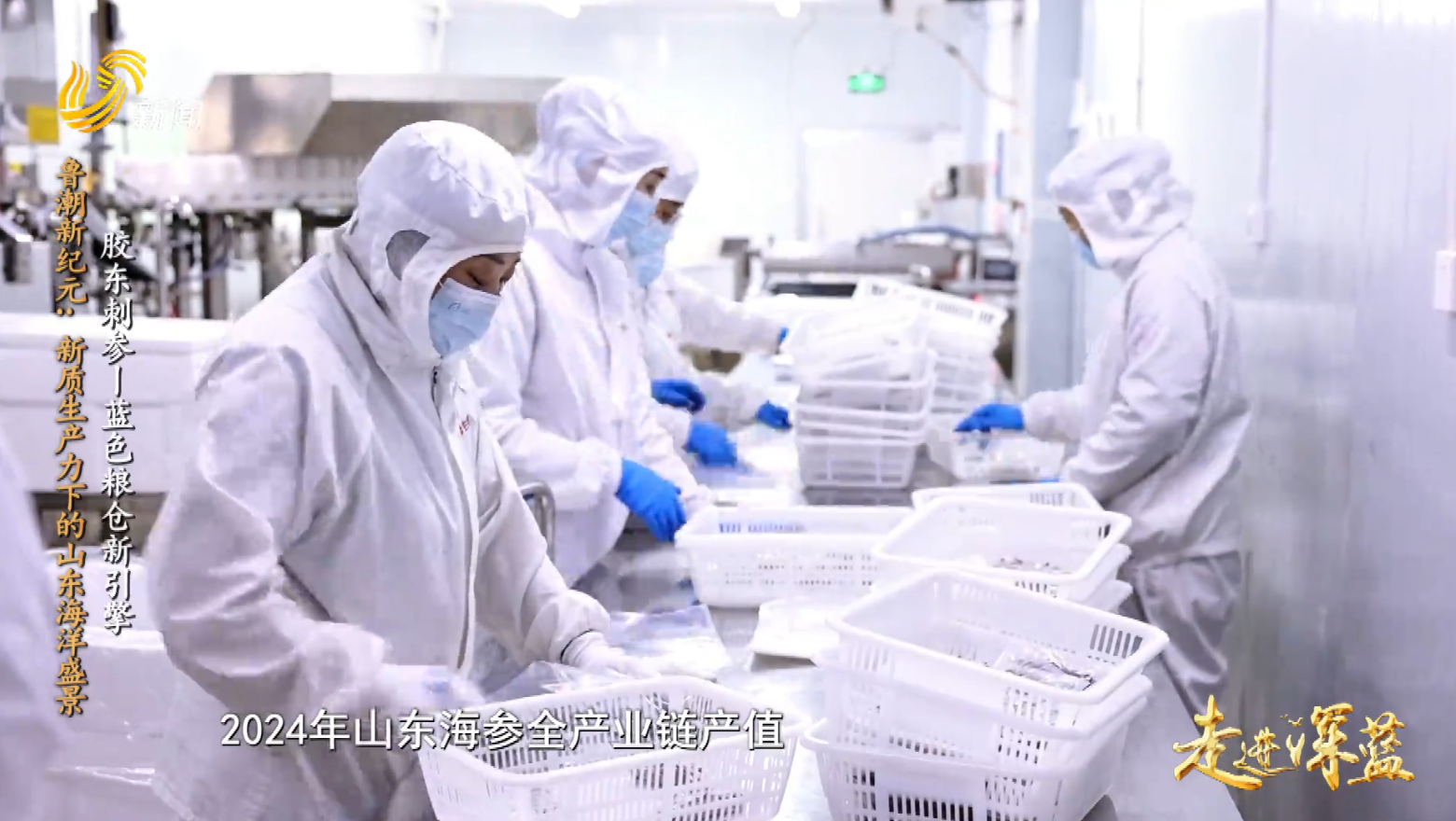  20251213《走进深蓝》：鲁潮新纪元 新质生产力下的山东海洋盛景——胶东刺参 蓝色粮仓新引擎