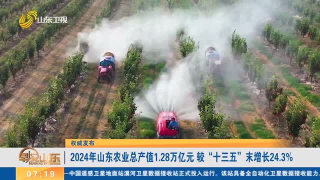 【权威发布】2024年山东农业总产值1.28万亿元 较“十三五”末增长24.3%