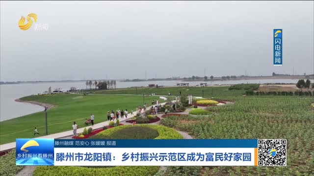 滕州市龙阳镇：乡村振兴示范区成为富民好家园