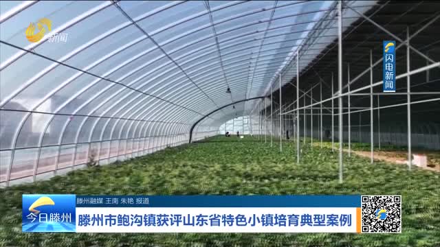 滕州市鲍沟镇获评山东省特色小镇培育典型案例