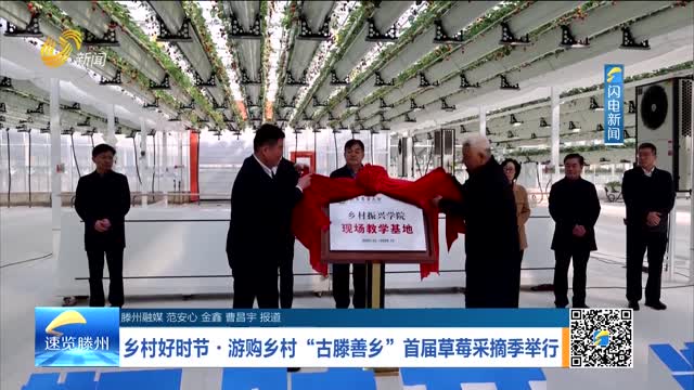 乡村好时节·游购乡村“古滕善乡”首届草莓采摘季举行