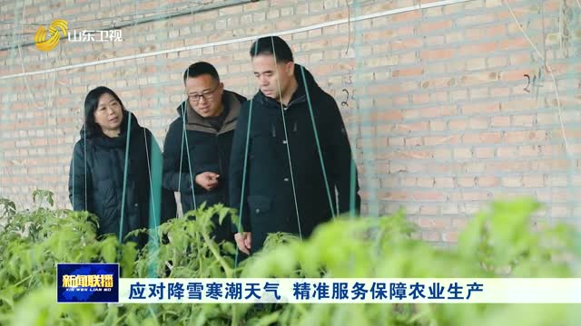 應(yīng)對(duì)降雪寒潮天氣 精準(zhǔn)服務(wù)保障農(nóng)業(yè)生產(chǎn)