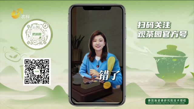 【观茶园】三招教您喝懂真正的安溪铁观音