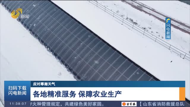 【应对寒潮天气】各地精准服务 保障农业生产