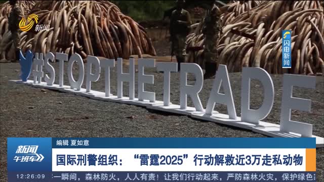 国际刑警组织：“雷霆2025”行动解救近3万走私动物