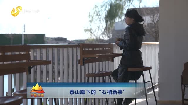 20251214《齐鲁先锋》：泰山脚下的“石榴新事”