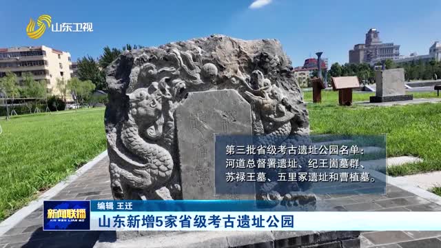 山东新增5家省级考古遗址公园