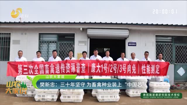 【山農大家說】樊新忠：三十年堅守 為畜禽種業裝上“中國芯”