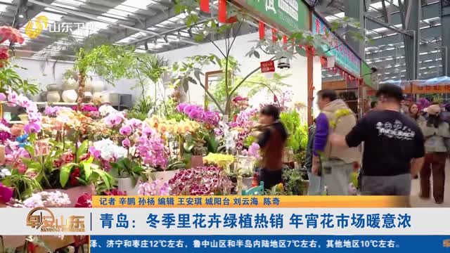 青岛：冬季里花卉绿植热销 年宵花市场暖意浓