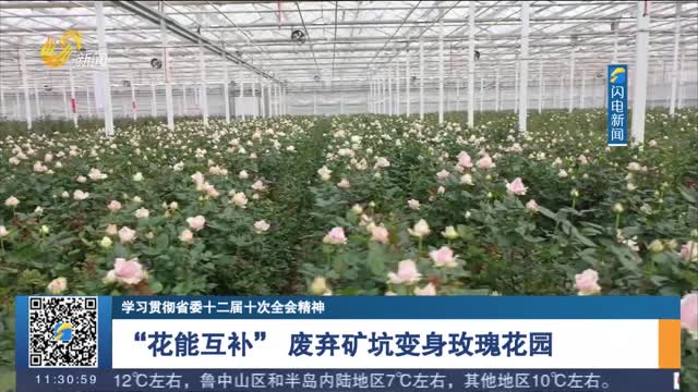 【学习贯彻省委十二届十次全会精神】“花能互补” 废弃矿坑变身玫瑰花园