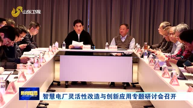智慧电厂灵活性改造与创新应用专题研讨会召开