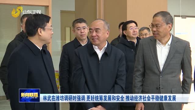 林武在潍坊调研时强调 更好统筹发展和安全 推动经济社会平稳健康发展