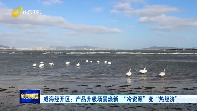 威海经开区：产品升级场景焕新 “冷资源”变“热经济”