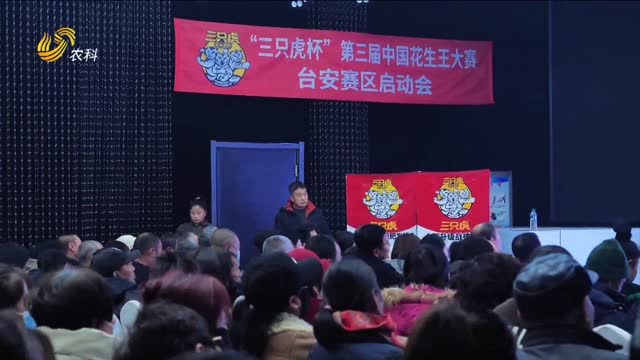 【第三屆“三只虎杯”中國花生王大賽】臺安賽區火爆啟動